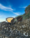 Coco Luxe Sunglasses