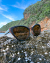Coco Luxe Sunglasses