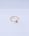 Twin Circle Gem Golden Rings