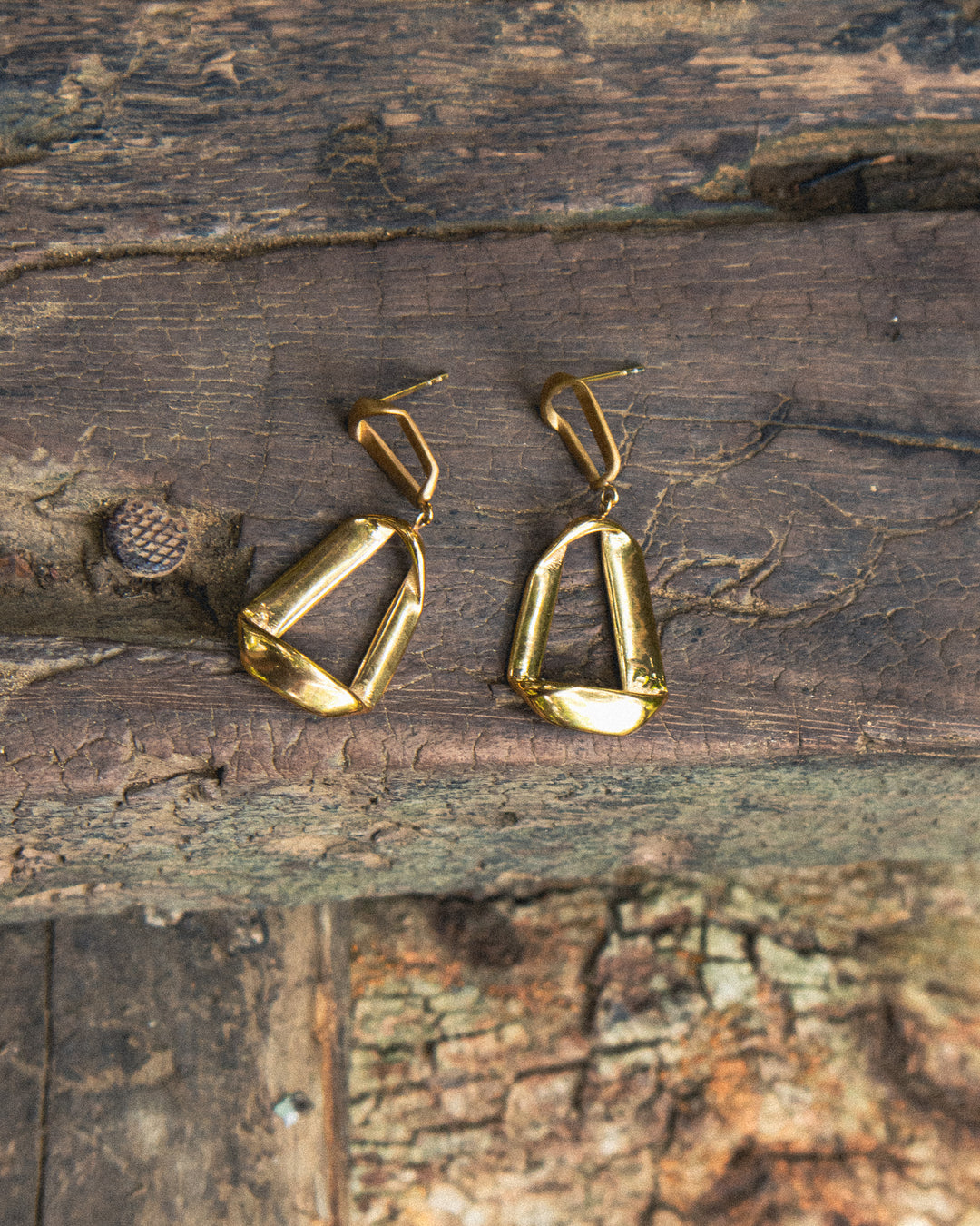 Golden Whisper Earrings